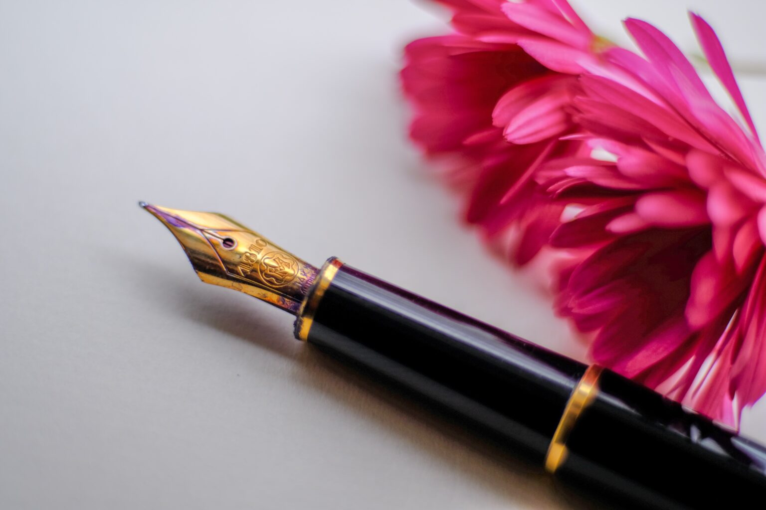 Ink Pen