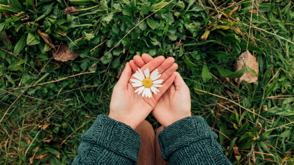 Guided Posts - Article By Tess Clarkson